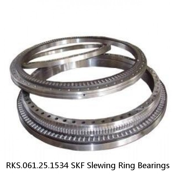 RKS.061.25.1534 SKF Slewing Ring Bearings
