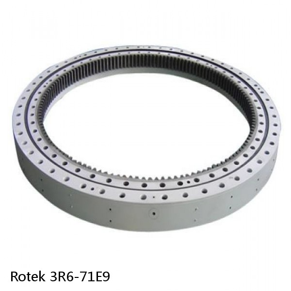 3R6-71E9 Rotek Slewing Ring Bearings