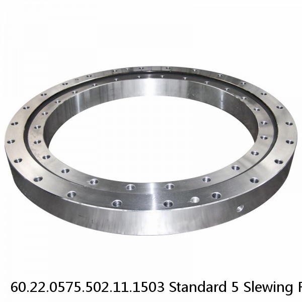 60.22.0575.502.11.1503 Standard 5 Slewing Ring Bearings