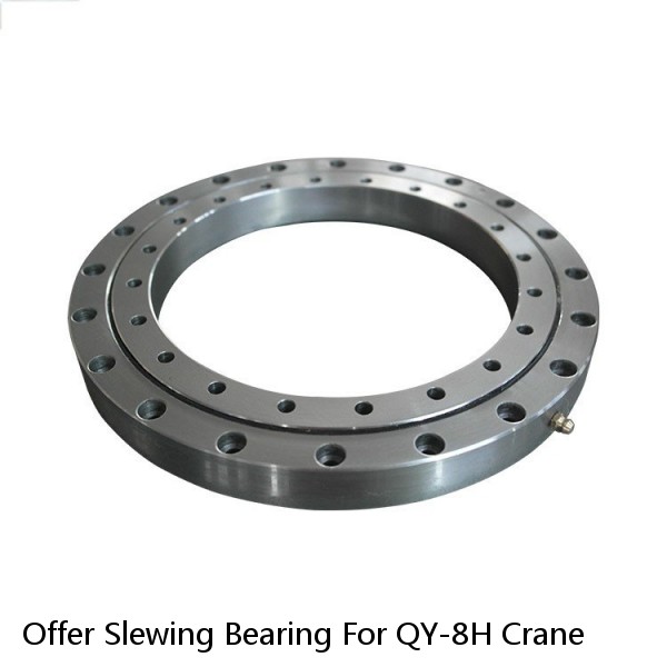 Offer Slewing Bearing For QY-8H Crane