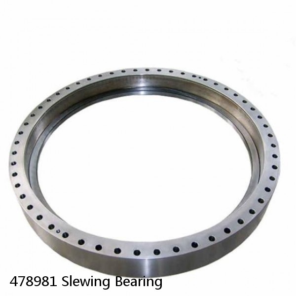 478981 Slewing Bearing
