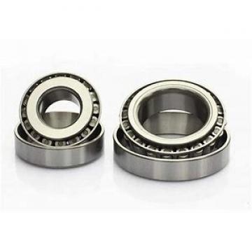 1.969 Inch | 50 Millimeter x 3.15 Inch | 80 Millimeter x 1.575 Inch | 40 Millimeter  INA SL045010-C3  Cylindrical Roller Bearings