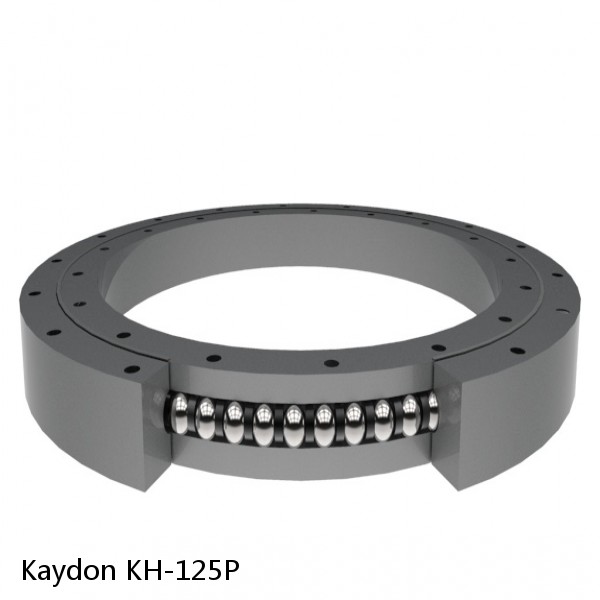 KH-125P Kaydon Slewing Ring Bearings