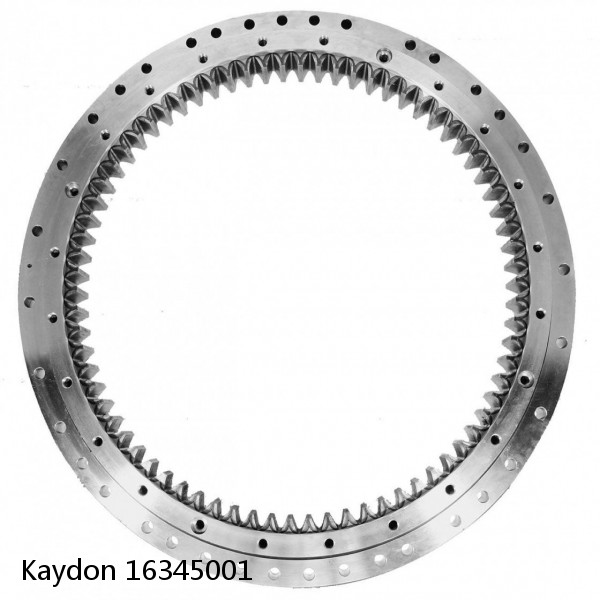 16345001 Kaydon Slewing Ring Bearings