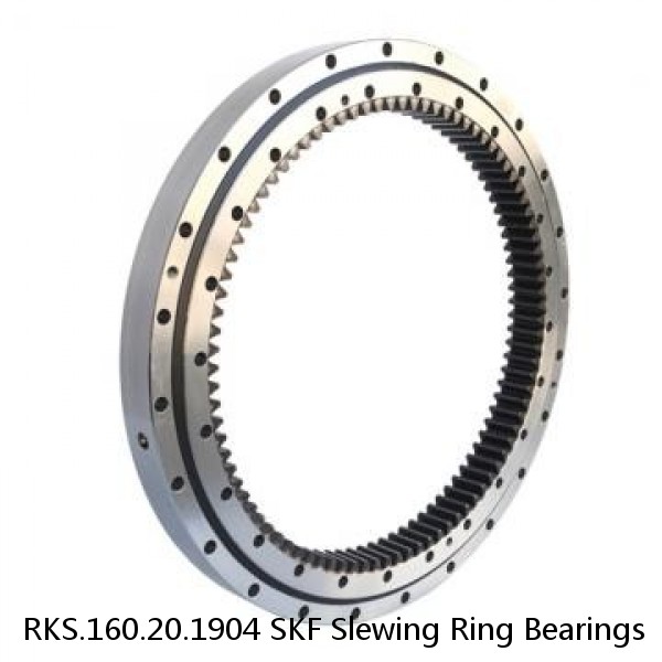 RKS.160.20.1904 SKF Slewing Ring Bearings