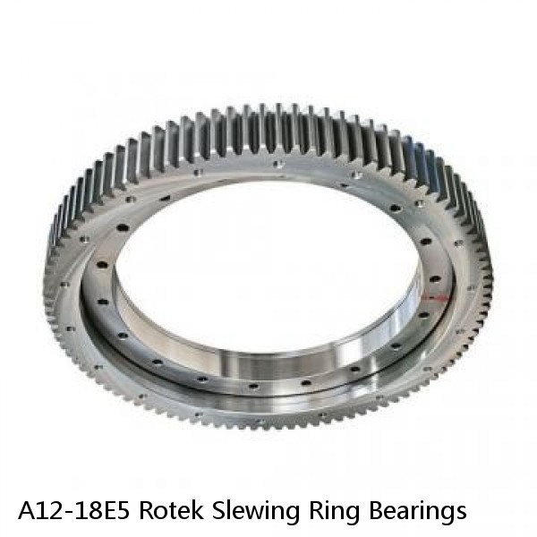 A12-18E5 Rotek Slewing Ring Bearings #1 small image