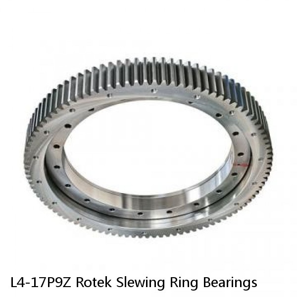 L4-17P9Z Rotek Slewing Ring Bearings
