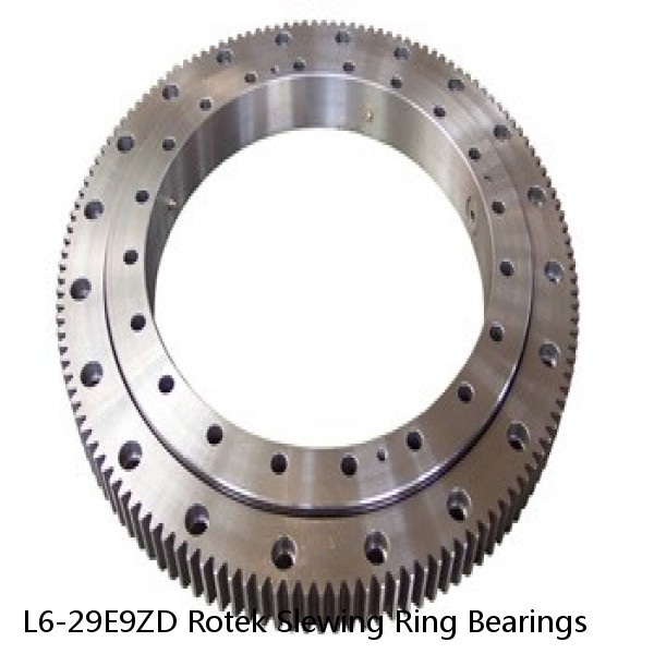 L6-29E9ZD Rotek Slewing Ring Bearings