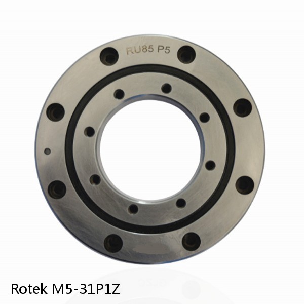 M5-31P1Z Rotek Slewing Ring Bearings #1 small image