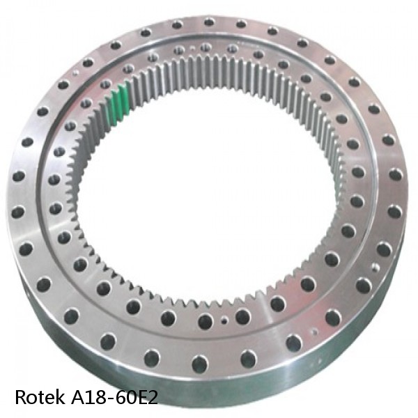 A18-60E2 Rotek Slewing Ring Bearings #1 small image