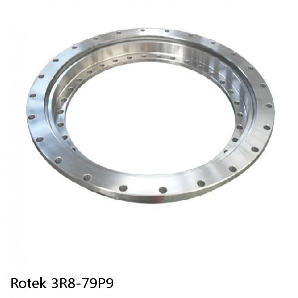 3R8-79P9 Rotek Slewing Ring Bearings #1 small image