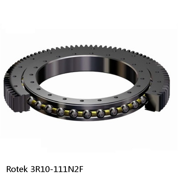 3R10-111N2F Rotek Slewing Ring Bearings #1 small image