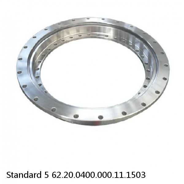 62.20.0400.000.11.1503 Standard 5 Slewing Ring Bearings #1 small image