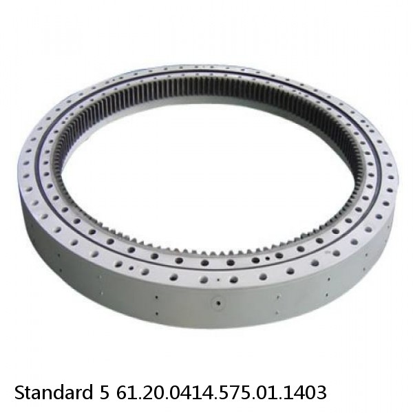 61.20.0414.575.01.1403 Standard 5 Slewing Ring Bearings #1 small image