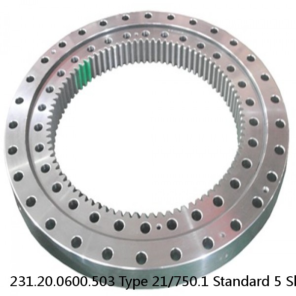 231.20.0600.503 Type 21/750.1 Standard 5 Slewing Ring Bearings #1 small image