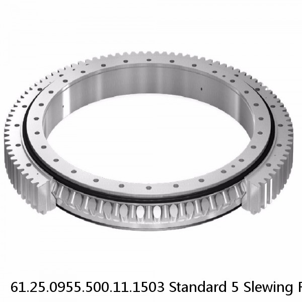 61.25.0955.500.11.1503 Standard 5 Slewing Ring Bearings #1 small image