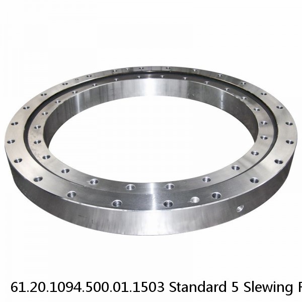61.20.1094.500.01.1503 Standard 5 Slewing Ring Bearings #1 small image