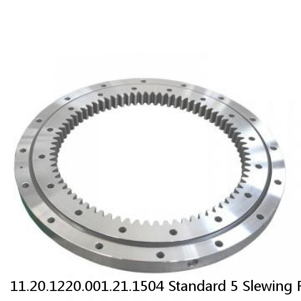 11.20.1220.001.21.1504 Standard 5 Slewing Ring Bearings #1 small image