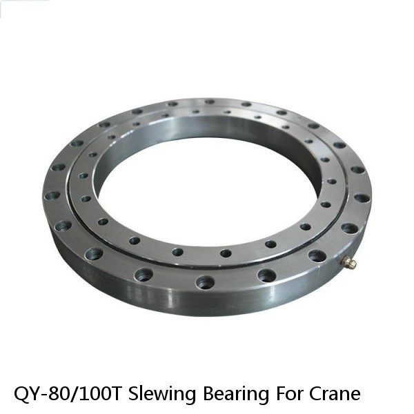 QY-80/100T Slewing Bearing For Crane
