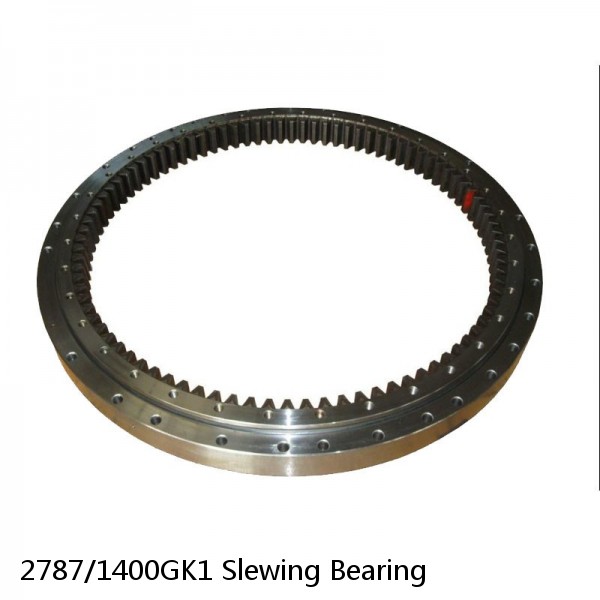 2787/1400GK1 Slewing Bearing