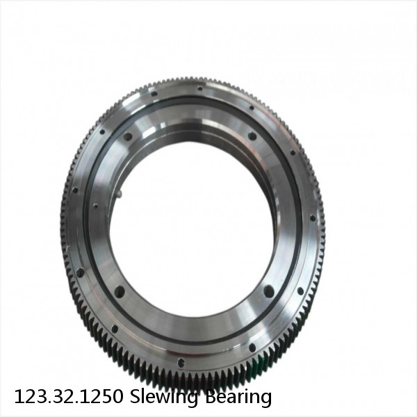 123.32.1250 Slewing Bearing #1 small image