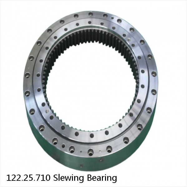 122.25.710 Slewing Bearing #1 small image