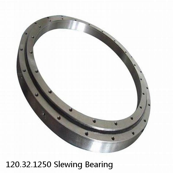 120.32.1250 Slewing Bearing #1 small image