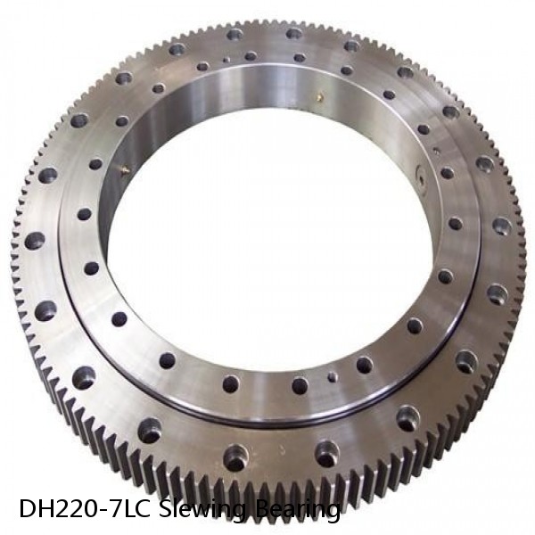 DH220-7LC Slewing Bearing