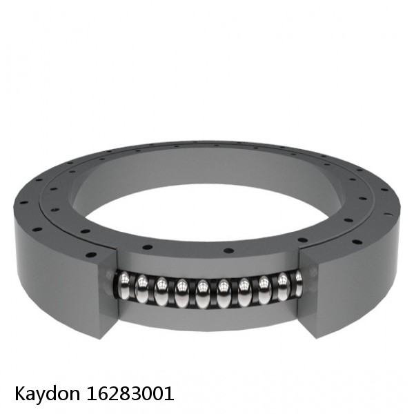 16283001 Kaydon Slewing Ring Bearings #1 image