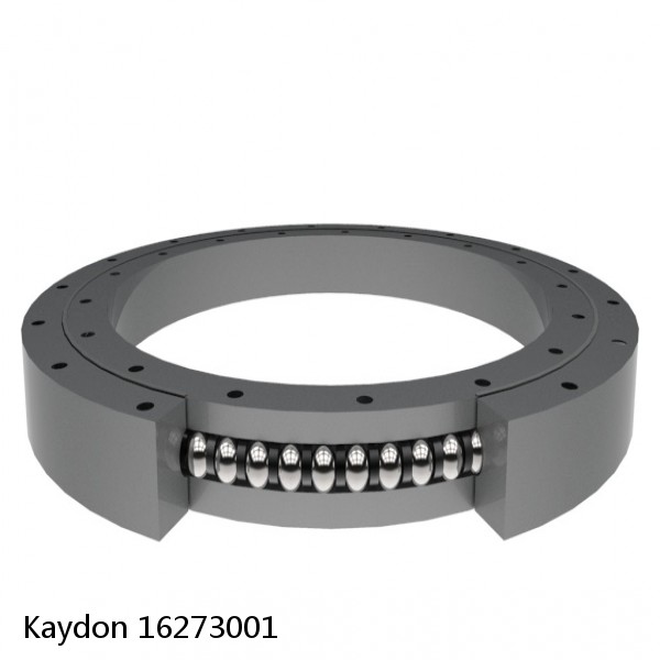 16273001 Kaydon Slewing Ring Bearings #1 image