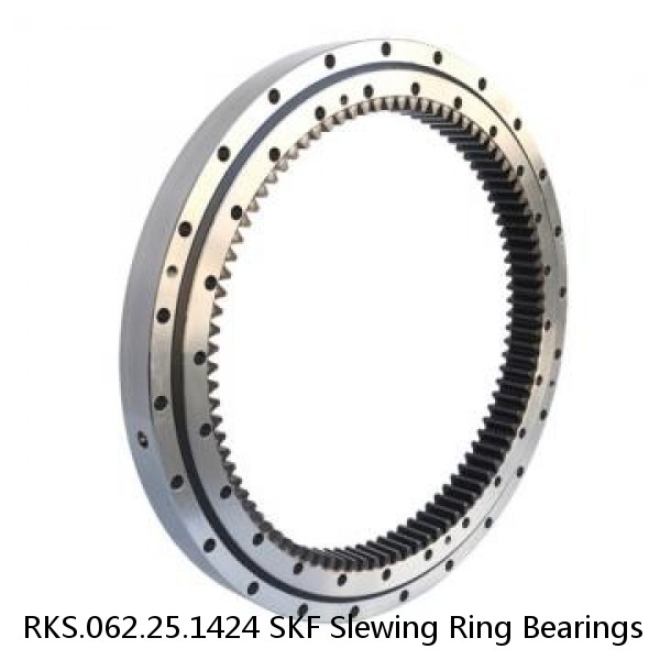 RKS.062.25.1424 SKF Slewing Ring Bearings #1 image