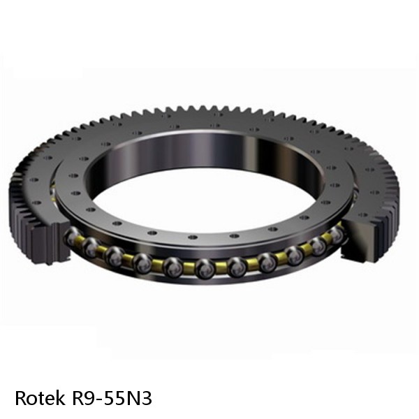 R9-55N3 Rotek Slewing Ring Bearings #1 image