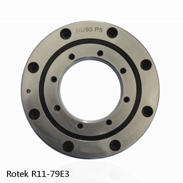 R11-79E3 Rotek Slewing Ring Bearings #1 image