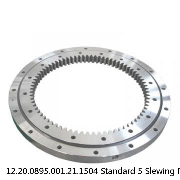 12.20.0895.001.21.1504 Standard 5 Slewing Ring Bearings #1 image