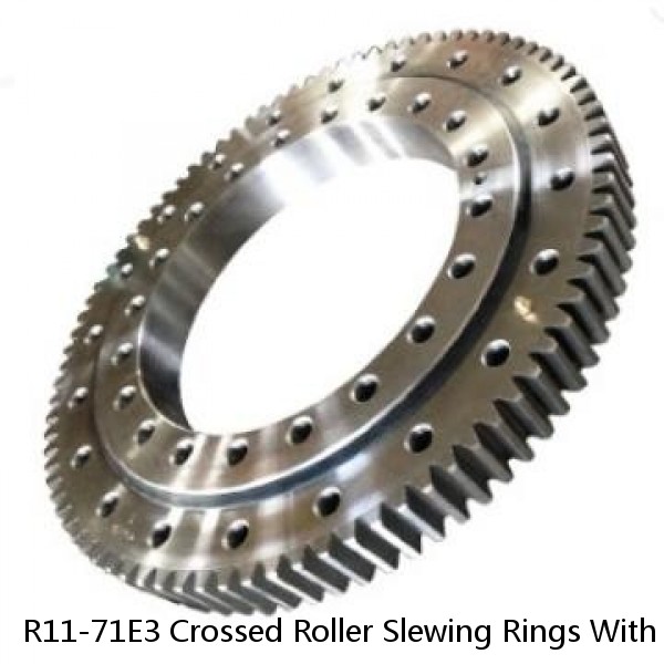 R11-71E3 Crossed Roller Slewing Rings With External Gear #1 image