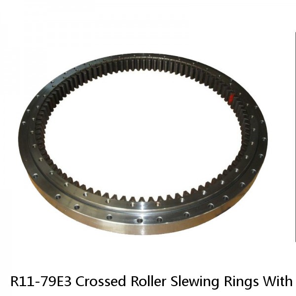 R11-79E3 Crossed Roller Slewing Rings With External Gear #1 image