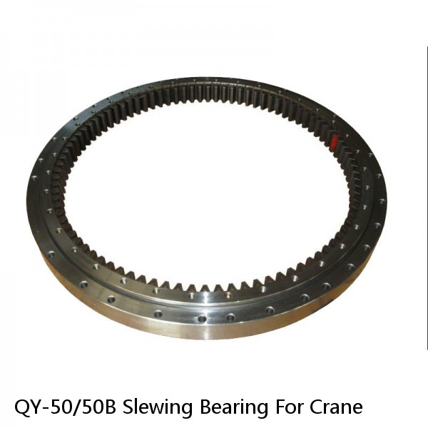 QY-50/50B Slewing Bearing For Crane #1 image