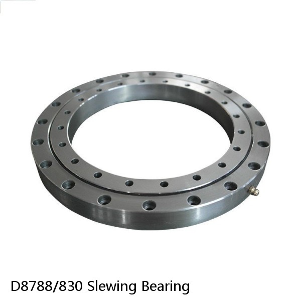 D8788/830 Slewing Bearing #1 image
