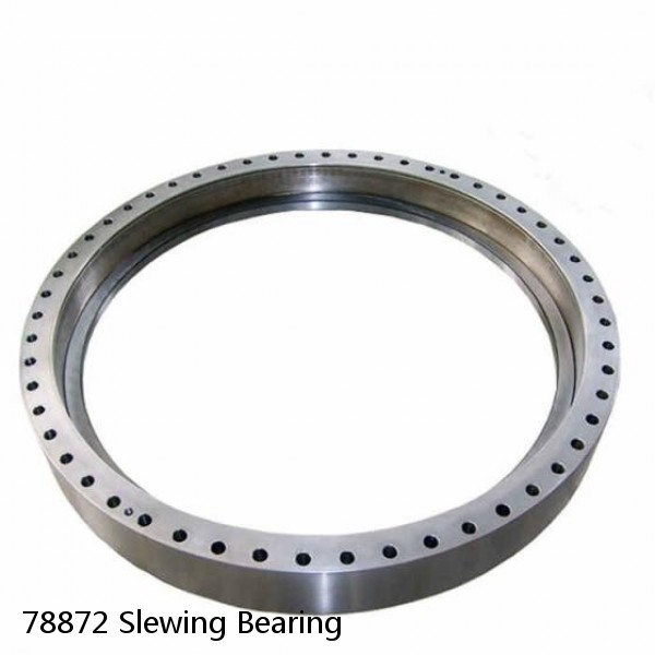 78872 Slewing Bearing #1 image