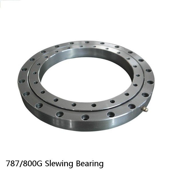787/800G Slewing Bearing #1 image