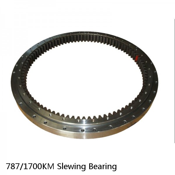 787/1700KM Slewing Bearing #1 image
