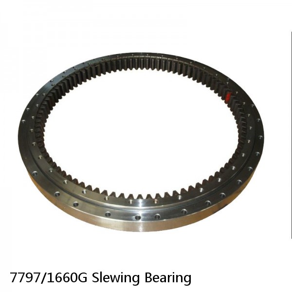 7797/1660G Slewing Bearing #1 image