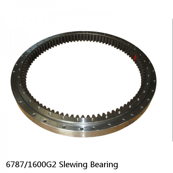 6787/1600G2 Slewing Bearing #1 image
