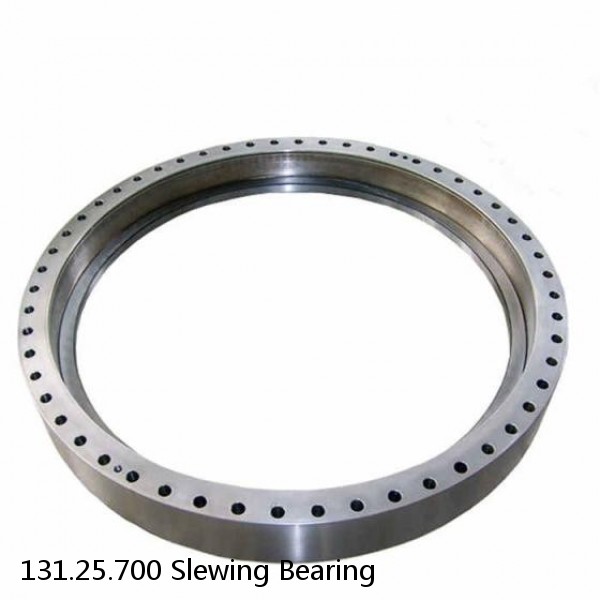 131.25.700 Slewing Bearing #1 image