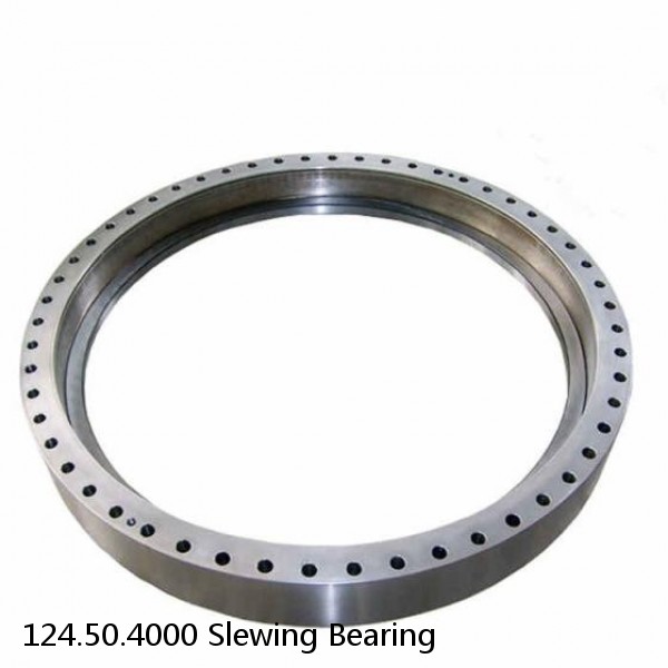 124.50.4000 Slewing Bearing #1 image