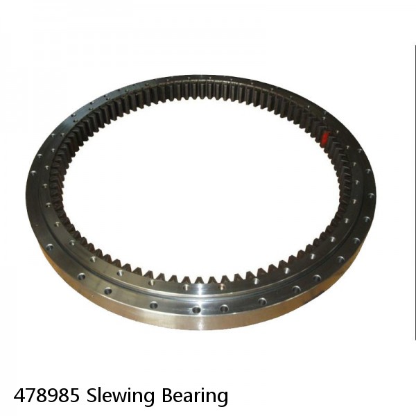 478985 Slewing Bearing #1 image
