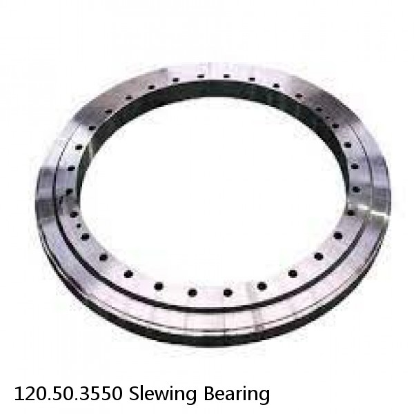 120.50.3550 Slewing Bearing #1 image