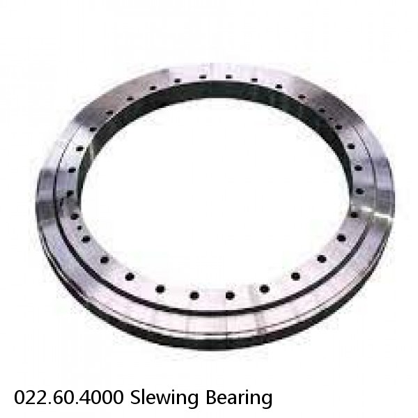 022.60.4000 Slewing Bearing #1 image