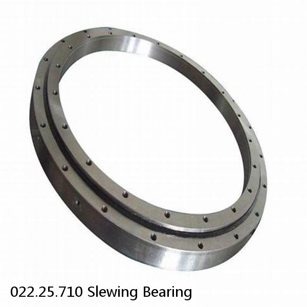 022.25.710 Slewing Bearing #1 image