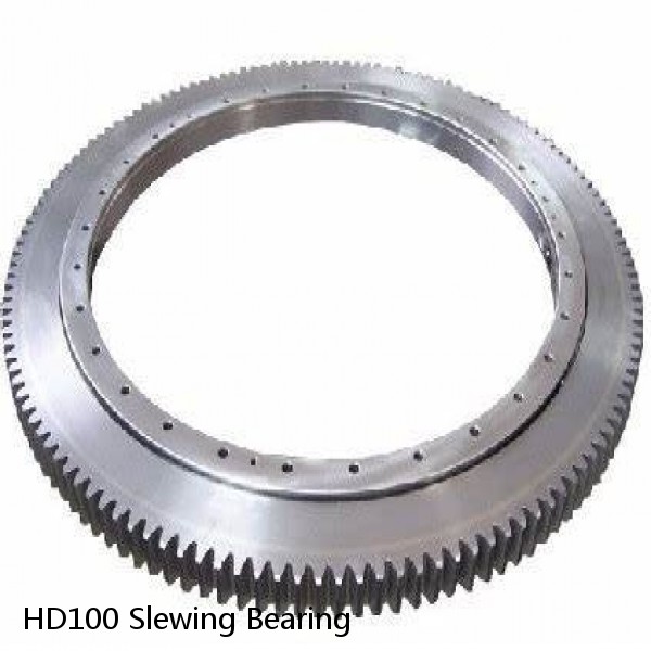 HD100 Slewing Bearing #1 image